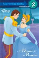 A dream for a princess  Cover Image