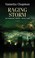 Go to record Raging storm