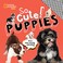 Go to record So Cute! Puppies