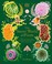 Go to record The secret world of plants