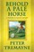 Go to record Behold a pale horse : a mystery of ancient Ireland