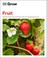 Go to record Fruit : essential know-how and expert advice for gardening...