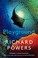 Go to record Playground : a novel