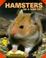Go to record Hamsters as a new pet