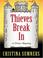 Go to record Thieves break in