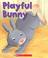 Go to record Playful bunny