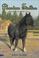 Go to record Gift horse : phantom stallion #9