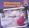 Go to record Yellowstone National Park