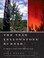 Go to record The year Yellowstone burned : a twenty-five-year perspective