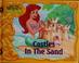 Go to record Castles in the sand
