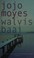 Go to record Silver Bay : a novel