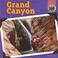 Go to record Grand Canyon / Cari Meister.
