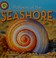 Go to record Patterns at the seashore