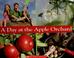 Go to record A day at the apple orchard