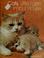 Go to record Cats : little tigers in your house