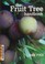 Go to record The fruit tree handbook