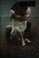 Go to record The retribution of Mara Dyer