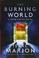 Go to record The burning world