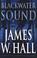 Go to record Blackwater sound : a novel